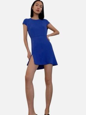 Aritzia Babaton Hampton Mini dress